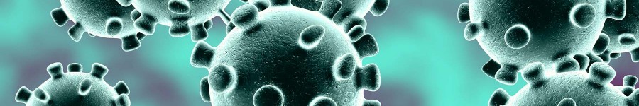 Coronavirus update 07.09.20